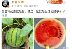 娱乐圈吃瓜的图片,吃瓜图鉴揭秘明星幕后故事