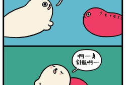 海豹漫画,幽默与智慧并存的视觉盛宴