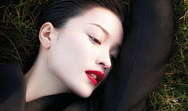 麻豆 杜鹃,探寻自然之美与生命奇迹