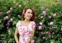 花麻豆,探寻古老植物的神奇魅力