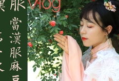汉服麻豆,汉服麻豆演绎古典韵味