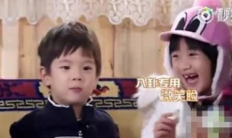 娱乐圈的吃瓜八卦,揭秘明星背后的秘密与争议